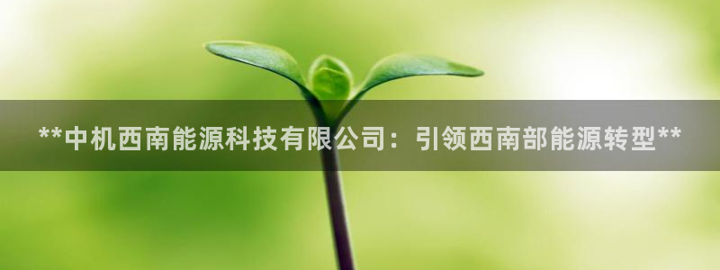 申博手机版app下载