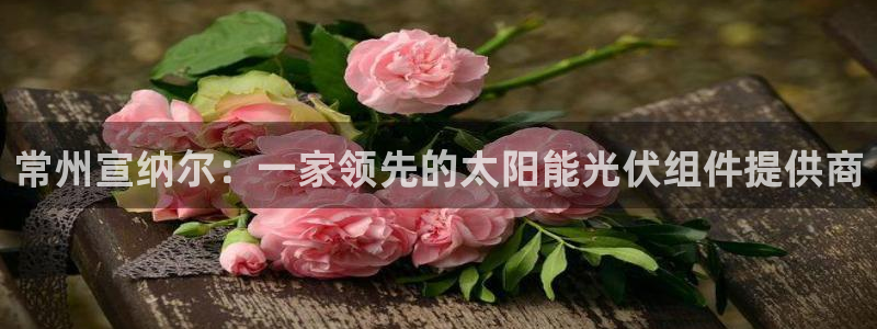 sunbet靠谱吗