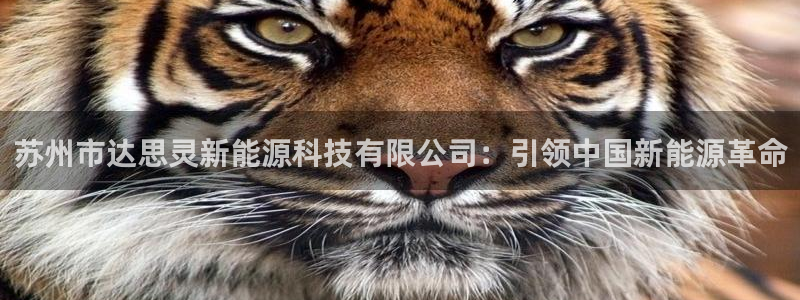 sunbet英语翻译