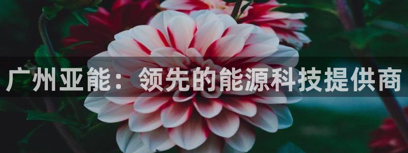 sunbet手机app版