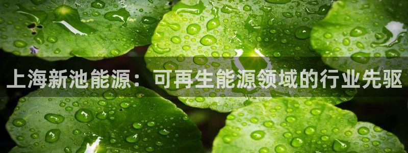 申博官方网站