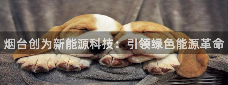 sunbet官网登录首页