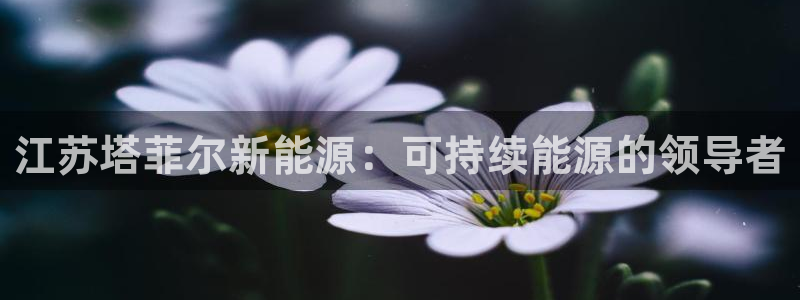 申博手机网站