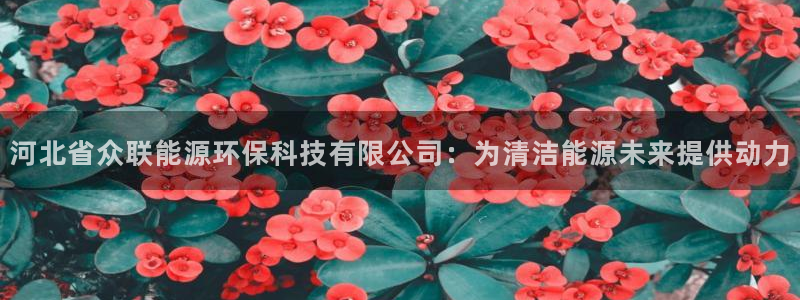 sunbet申搏地址