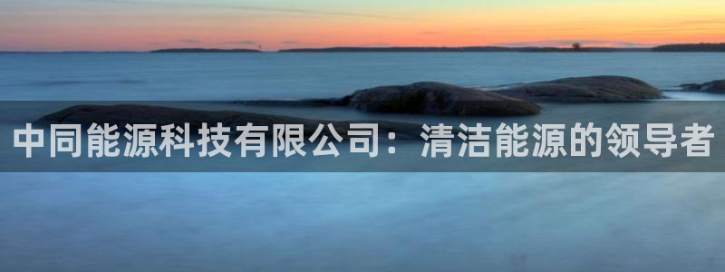 sunbet英语翻译