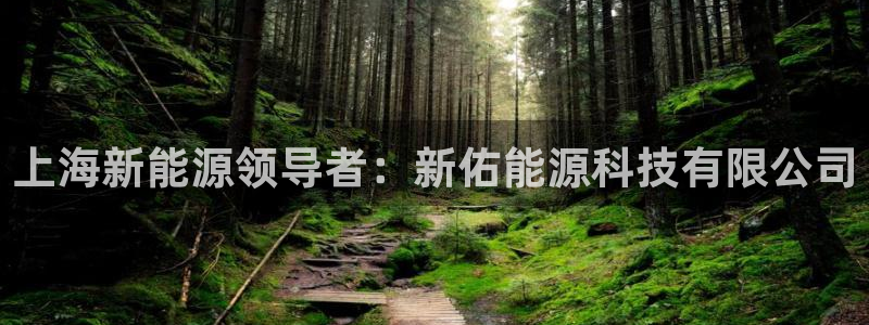sunbet源码