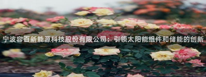 下载申搏sunbet并安装app