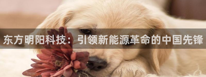 申慱sunbet手机版登