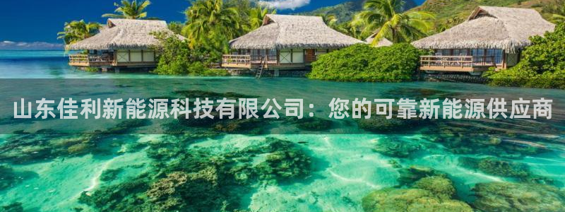 sunbet安卓下载
