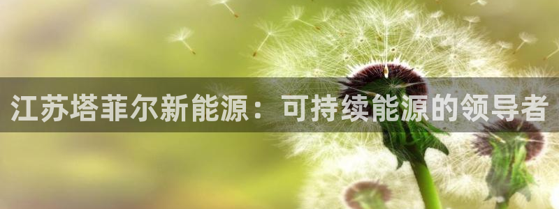 sunbet手机版登录