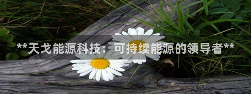 sunbet最新消息
