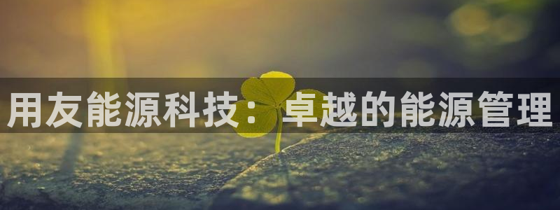 sunbet最新登陆