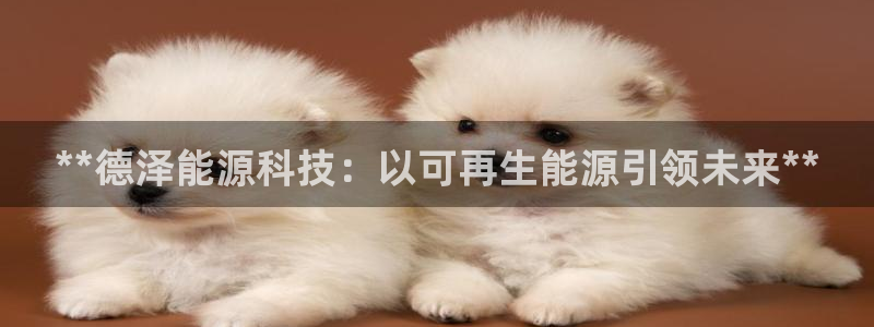 申博官网电脑版下载