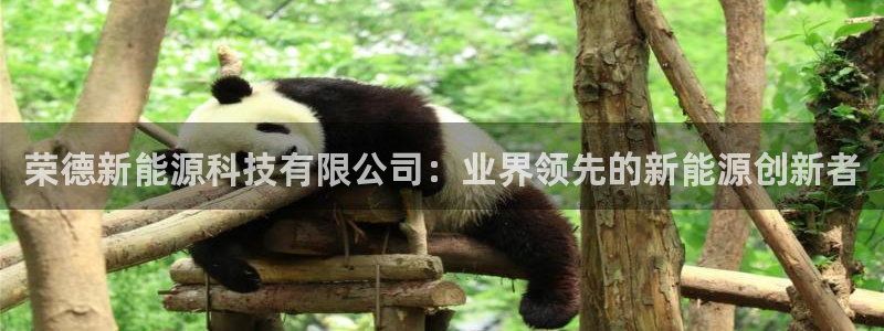 sunbet官网手机版