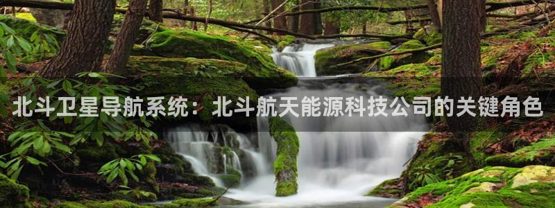sunbet源码