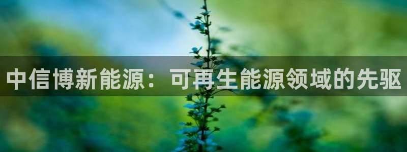 sunbet首页登录入口