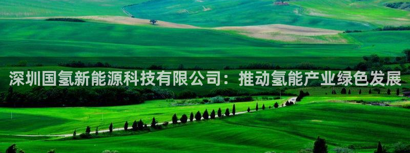 sunbet最新消息