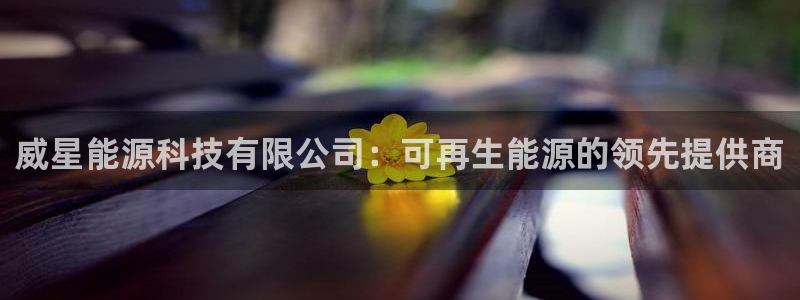 sunbet游戏地址
