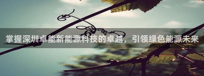 sunbet游戏网