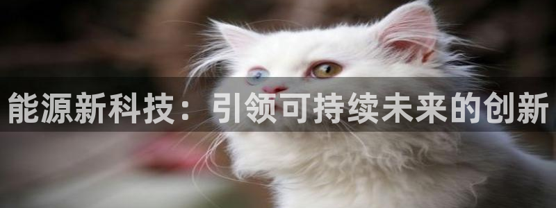 sunbet手机网页版
