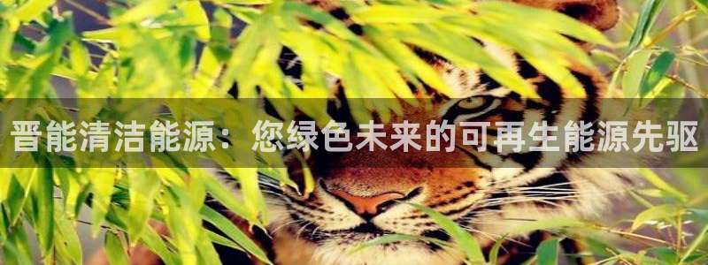 申博官方网站手机版下载