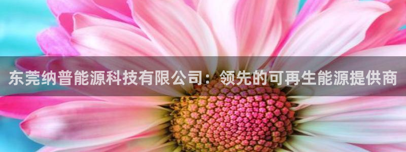 sunbet手机网页版下载