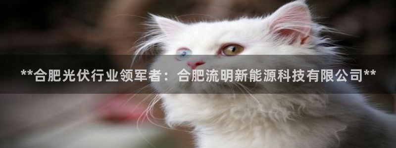 进入sunbet官网手机版登陆