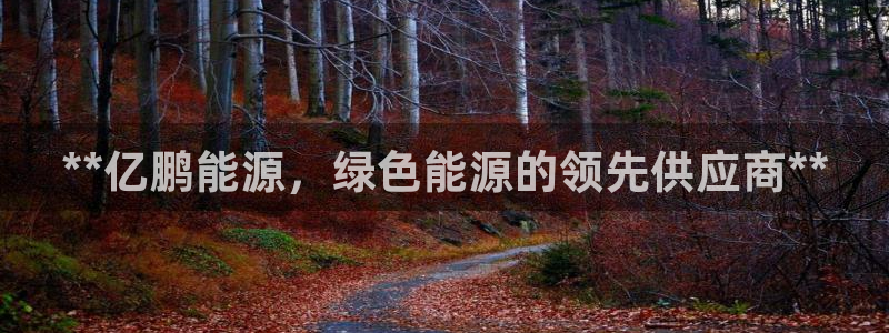 sunbet程序