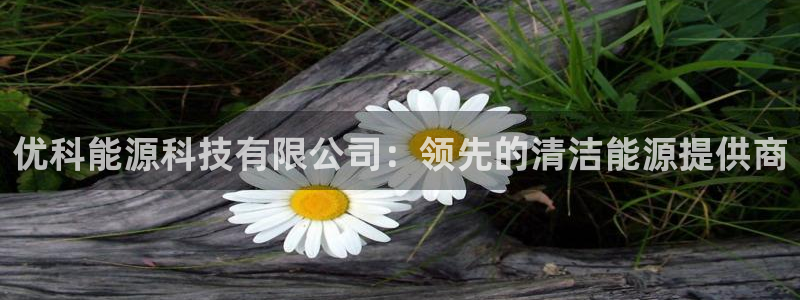 sunbet手机网页版