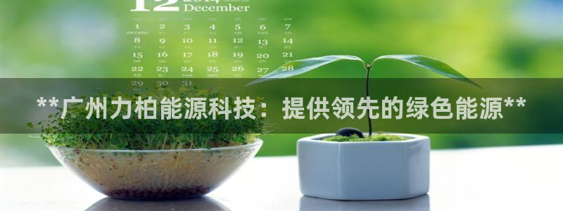 sunbet燃气灶