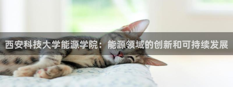 sunbet中国官网