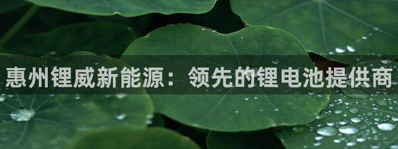 sunbet游戏最新版