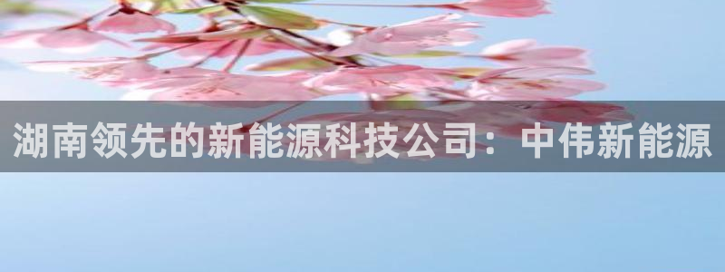 sunbet游戏网