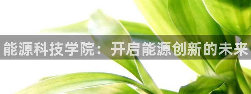 sunbet手机网页版下载