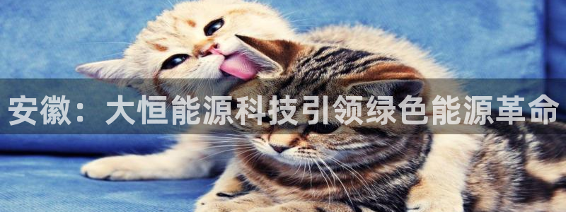 申慱sunbet网站