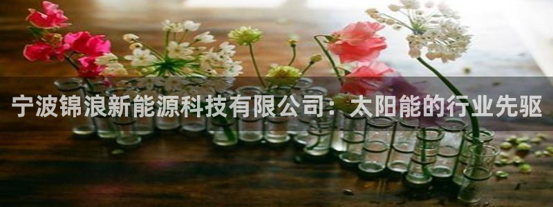 下载申搏sunbet并安装app