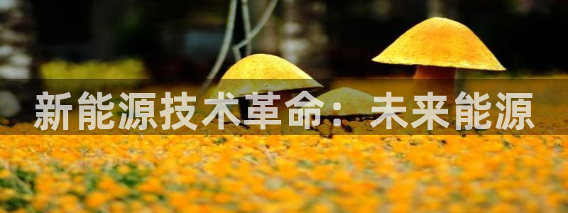 sunbet靠谱吗