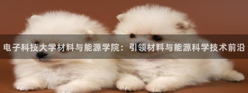 申博官网手机客户端