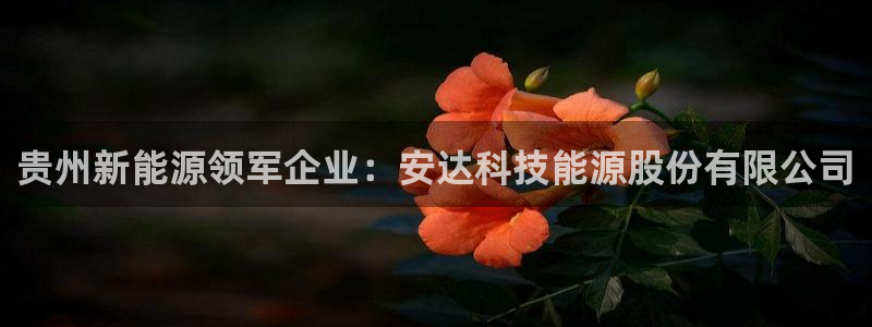 sunbet源码