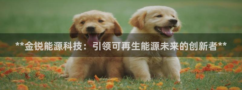 sunbething怎么读
