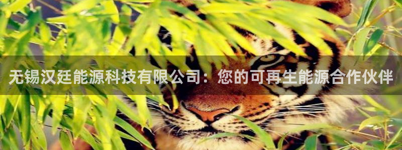 sunbet申搏官网
