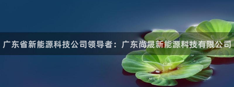 申博手机网站