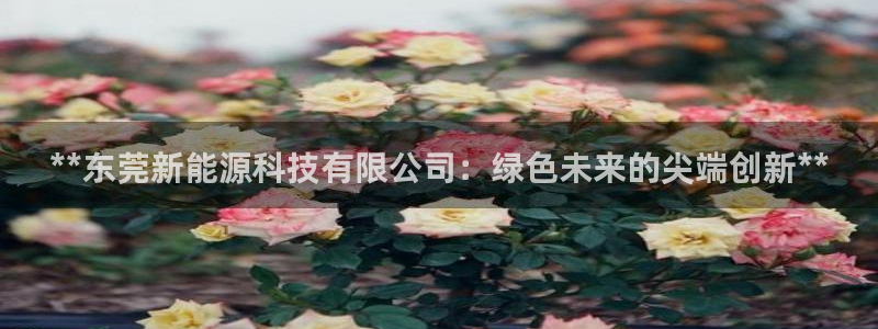 sunbet申搏平台