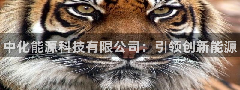 sunbet燃气灶