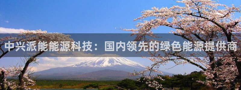 sunbet手机版官网下载