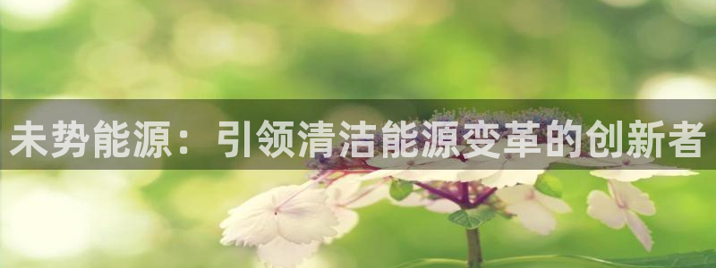 sunbet游戏