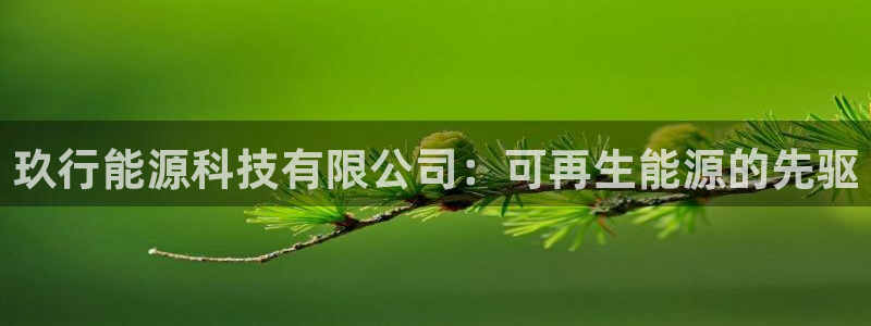 sunbet申搏平台