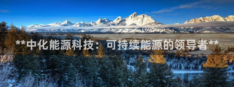sunbet最新消息