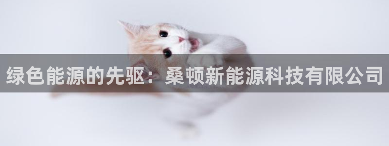 sunbet官网手机版登录