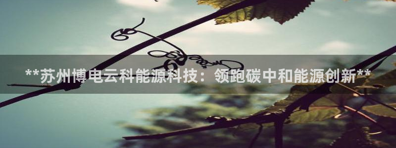 sunbet官网手机版登录